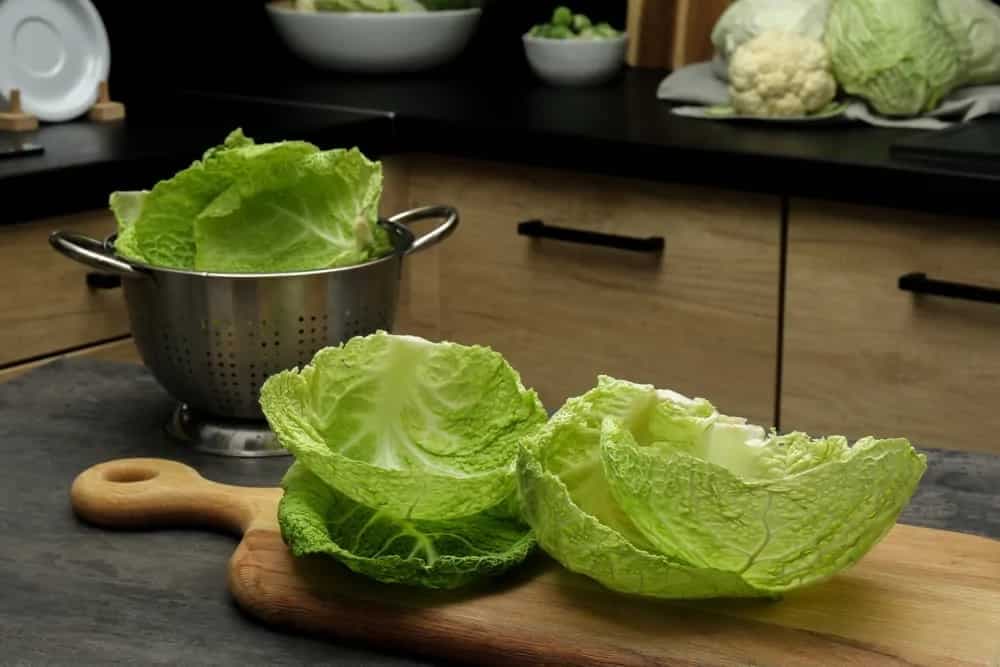 Don’t Throw The Cabbage Leaves, Instead Use This Way 