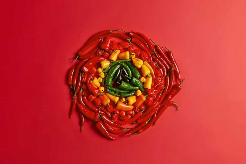 Explore India's Love For Chillies & 8 Spicy Regional Varieties 