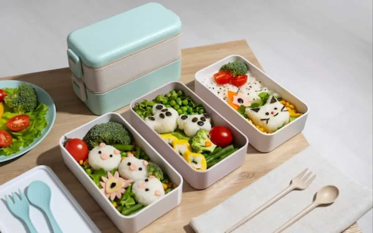 Top 5 Tupperware Lunch Boxes For Meal Prep Enthusiasts