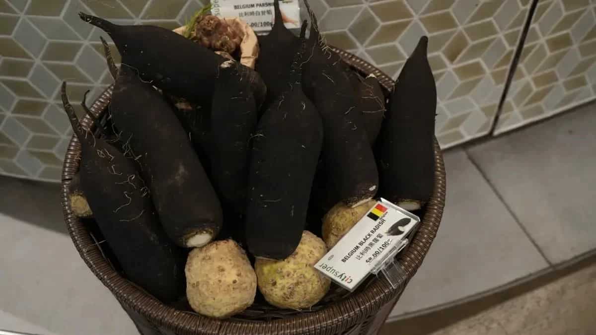 Grow Black Radish In Your Backyard Garden With These Hacks