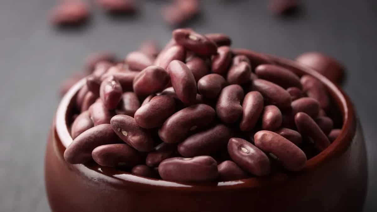 Growing Rajma Beans At Home: Essential Tips For Urban Gardeners