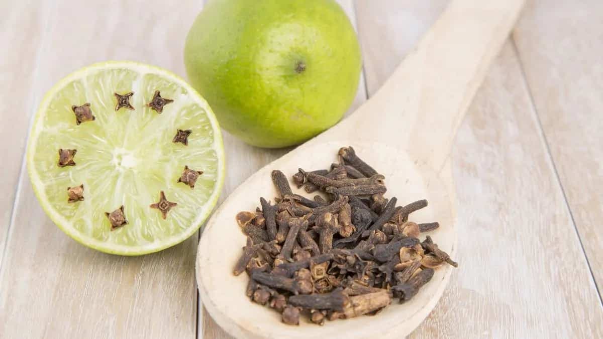 6 Natural Remedies To Keep Kitchen Insects At Bay In Monsoons