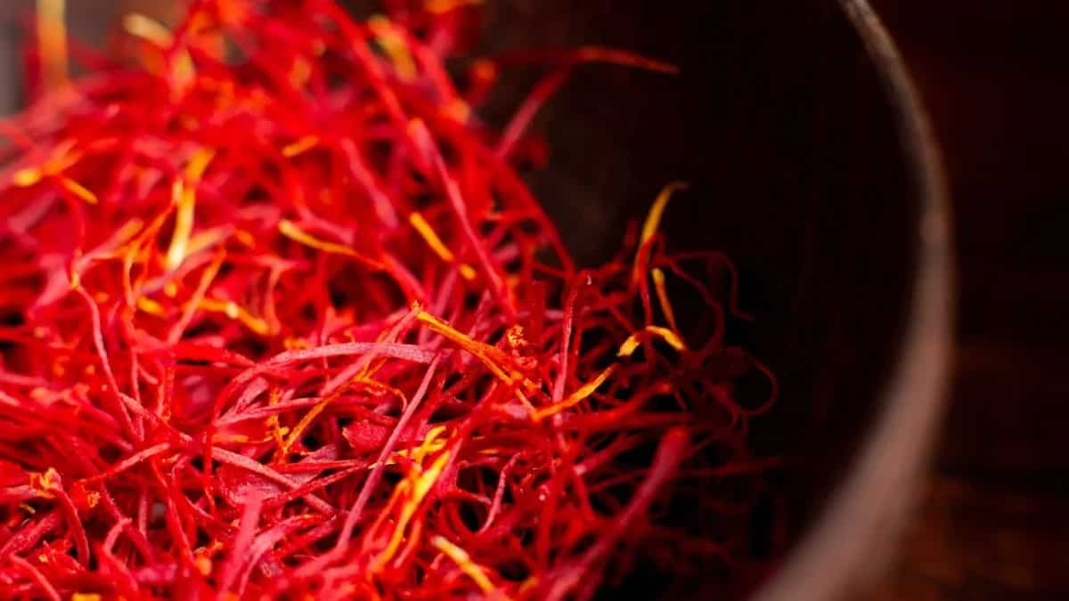 Growing Saffron In Containers: Tips For Urban Gardeners