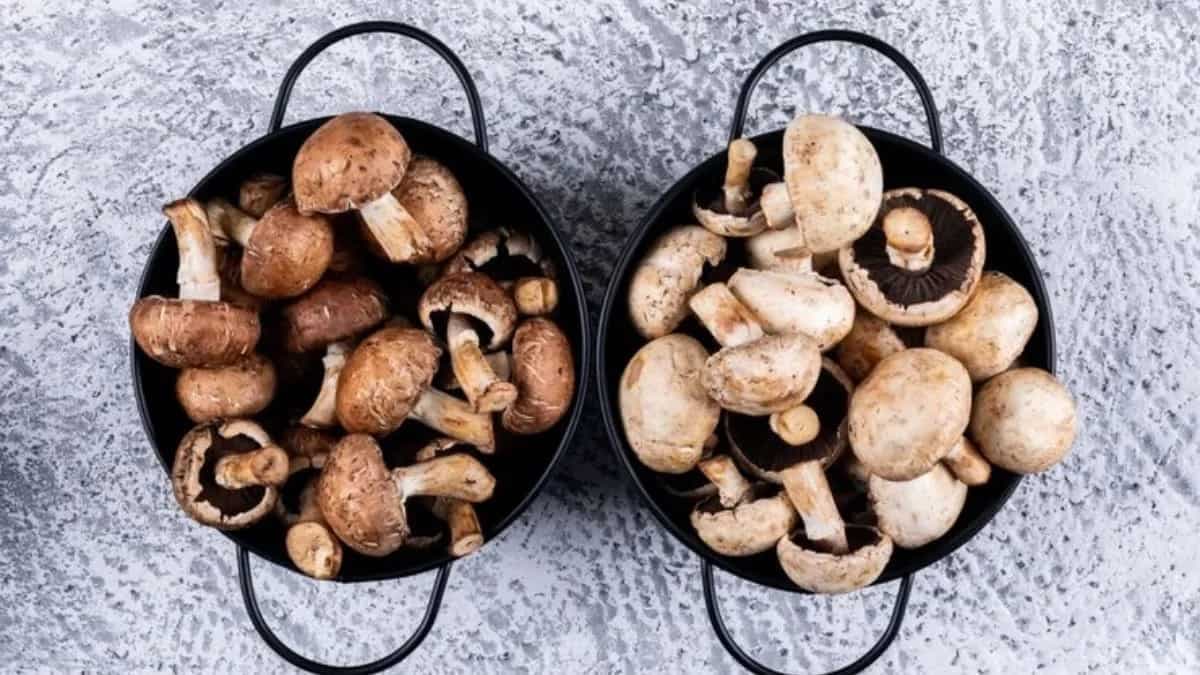How To Grow Mushrooms In A Bucket At Home