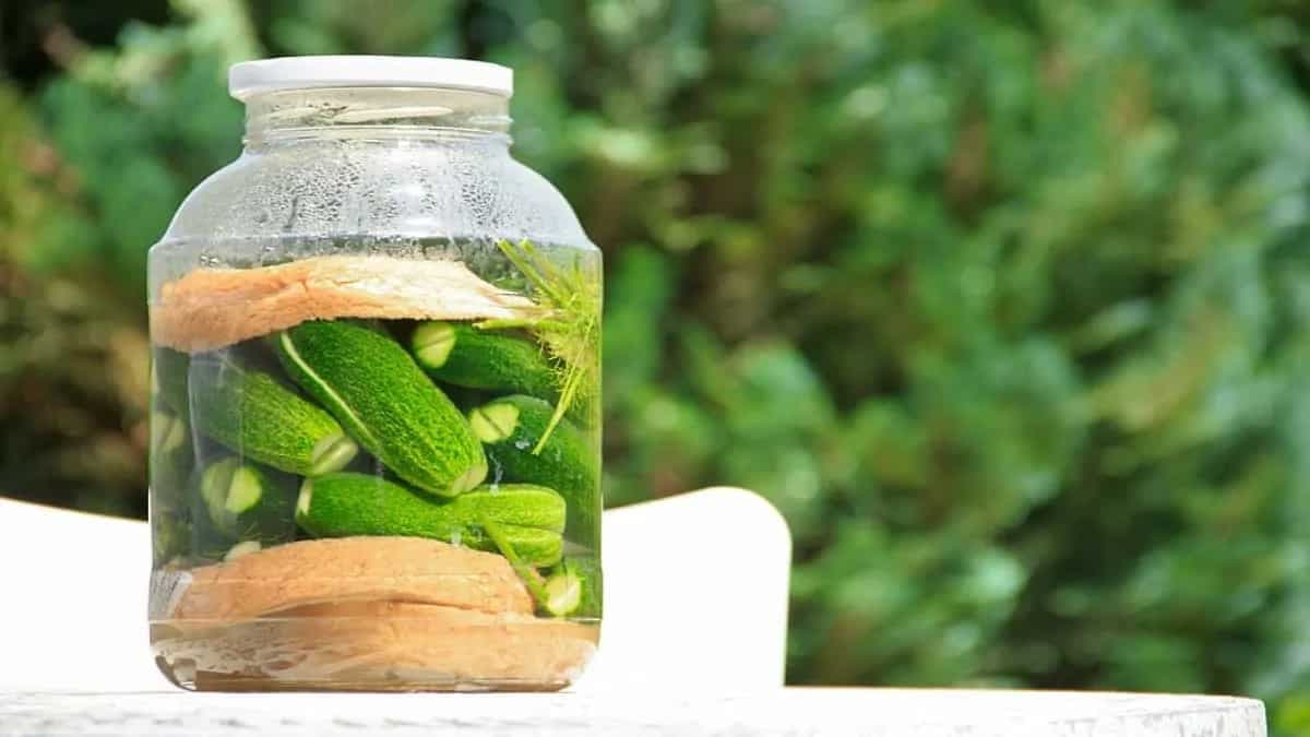 5 Ingenious Food Preserving Techniques During The Monsoons 
