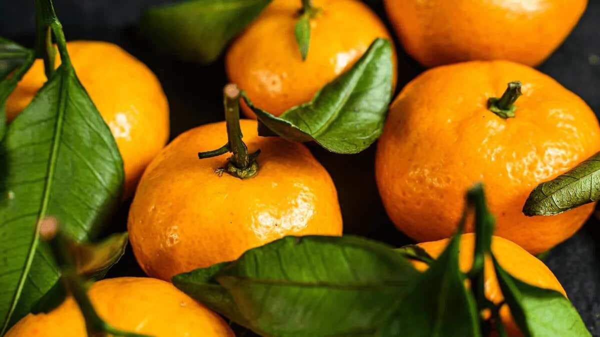 Kinnow Oranges: 7 Indian Dishes To Savour With This Citrus Gem