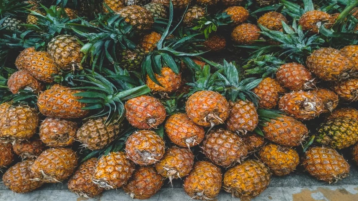6 Indian Recipes To Enjoy Pineapple The Desi Way