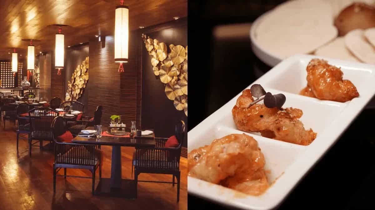 Chandigarh's Black Lotus Redefining Authentic Chinese Flavours