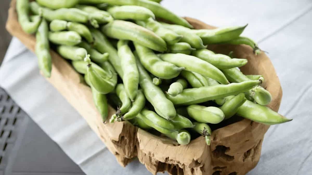 8 Indian Recipes Featuring the Earthy Goodness of Fava Beans