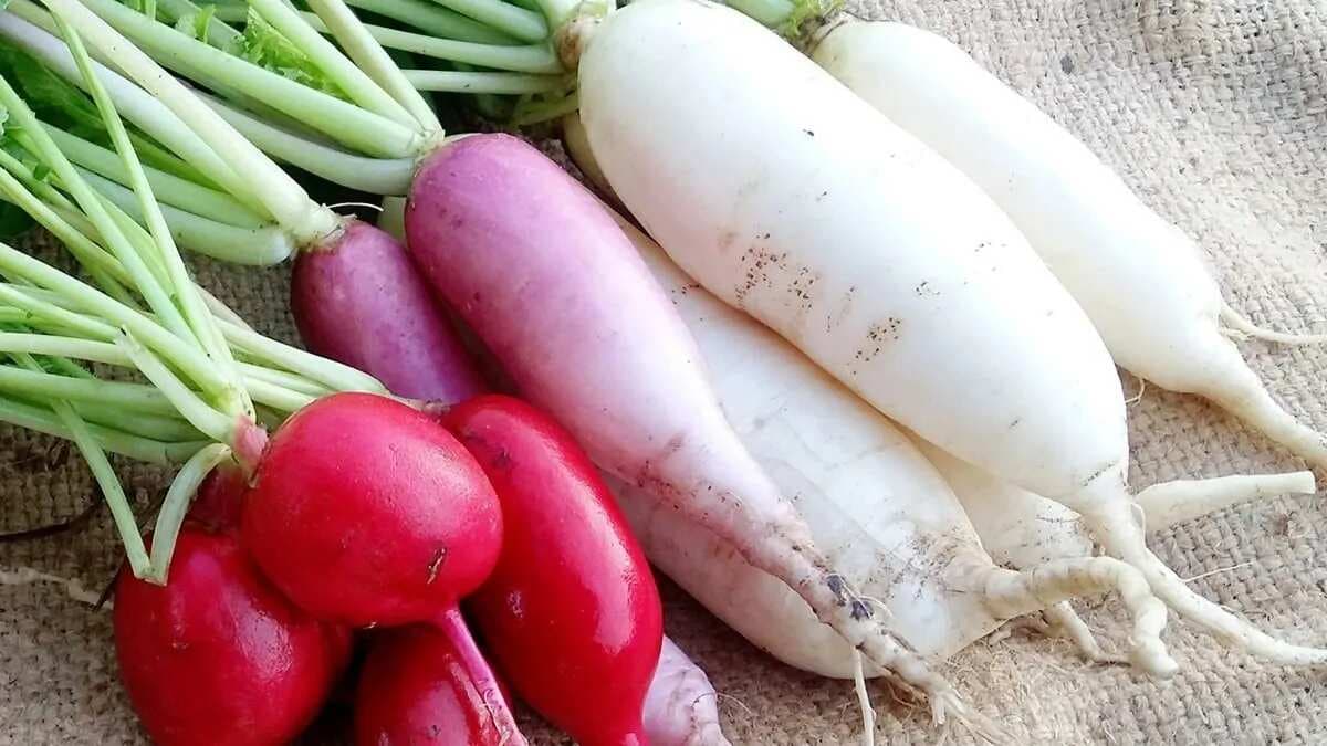 7 Tasty Indian Radish Recipes to Excite Your Taste Buds