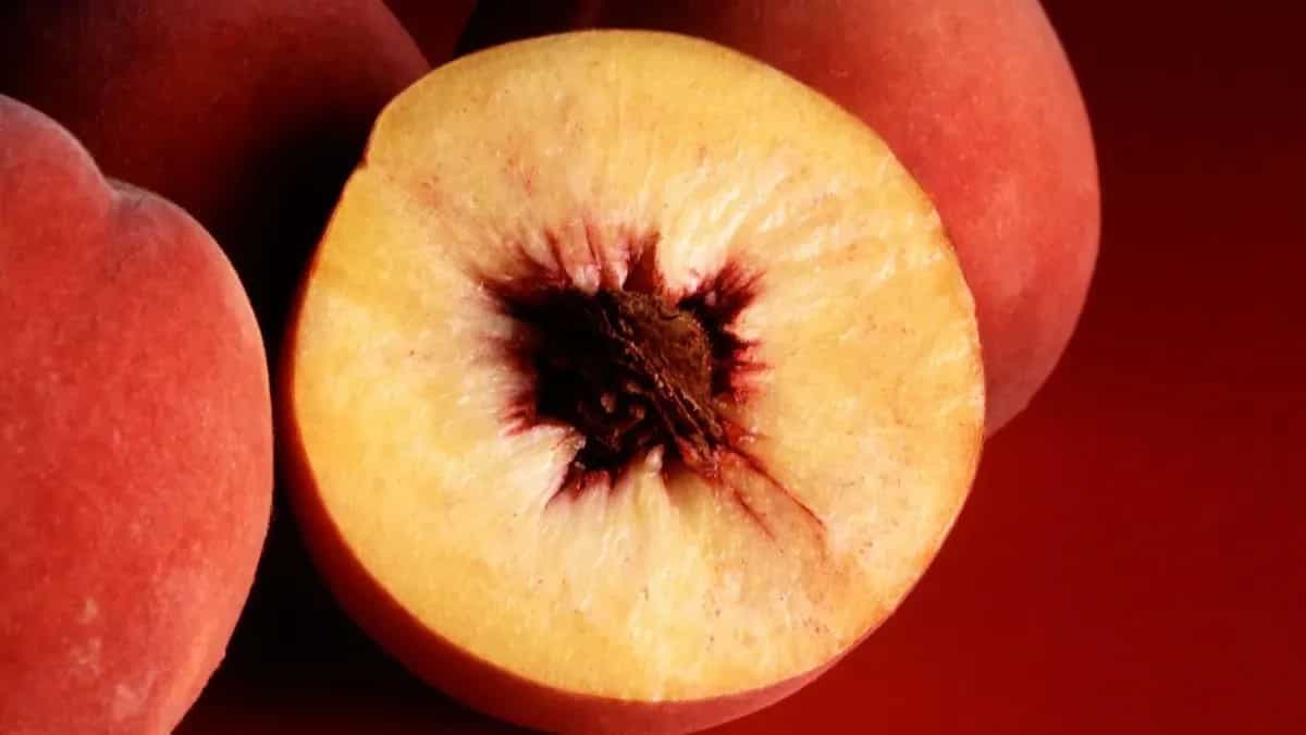 How To Plant A Peach Tree At Home? Guide And Hacks