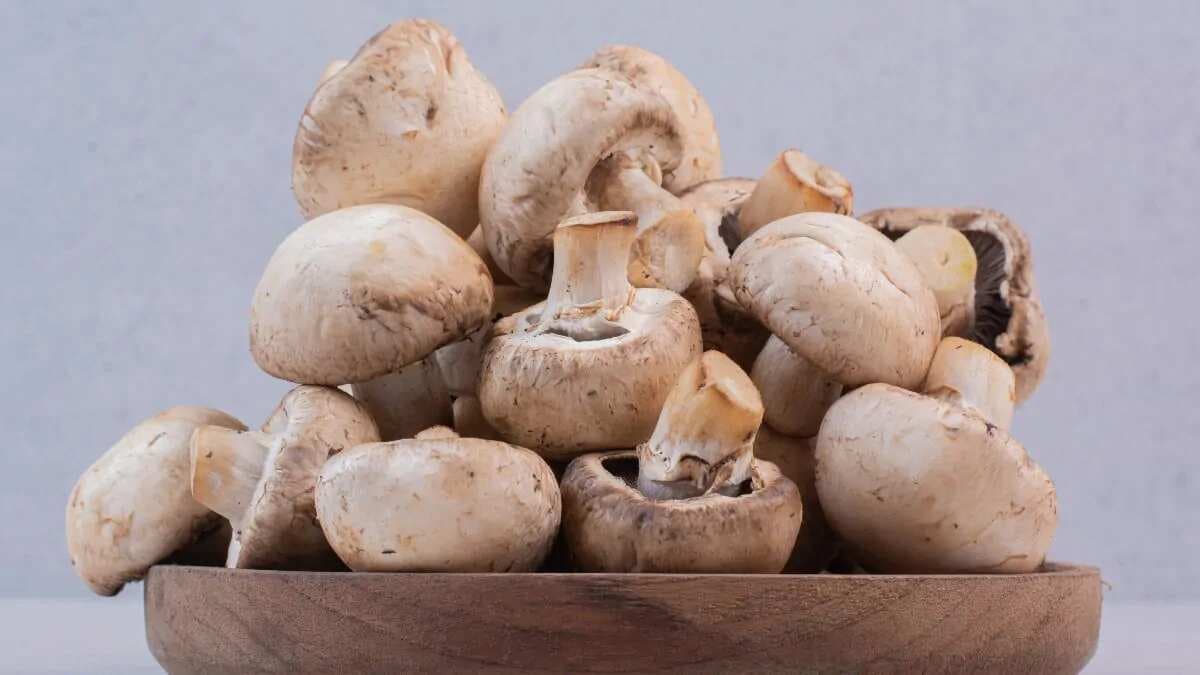 The Science Behind Why It’s Impossible To Overcook Mushrooms