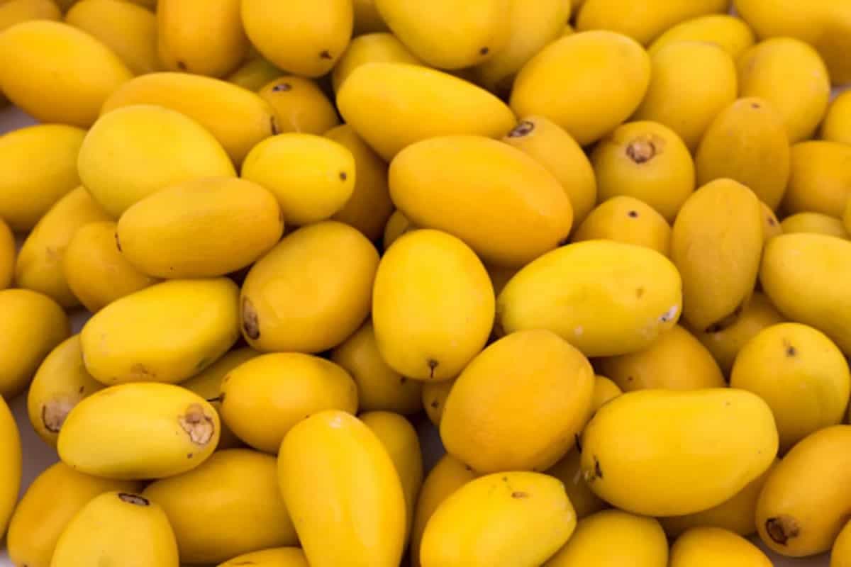 Khirni: A Wholesome Summer Fruit You Cannot Ignore