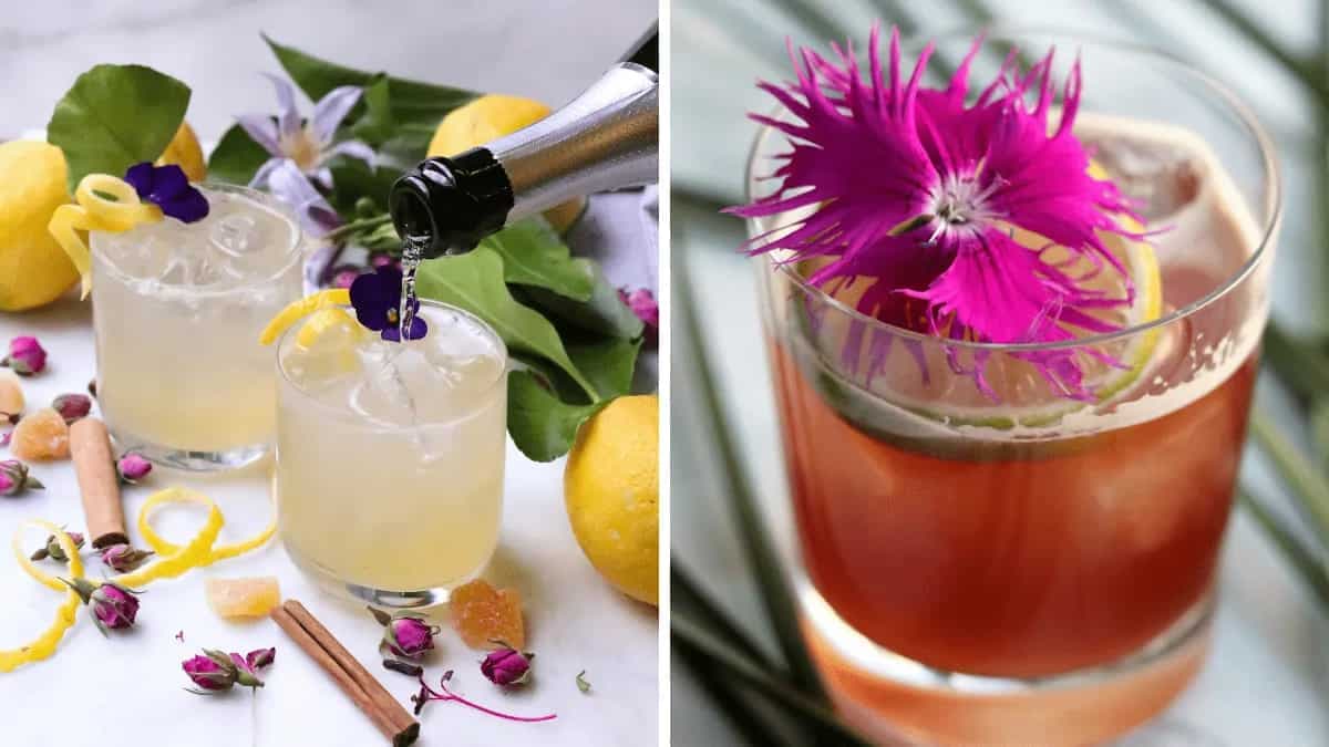 Include Edible Flowers While Making Cocktails Using 5 Key Tips