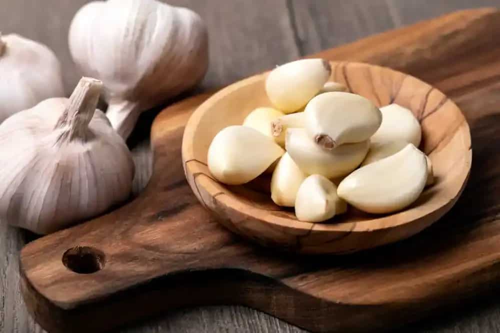 After Paneer, ORS, Fake Garlic Hits The Markets; Learn More