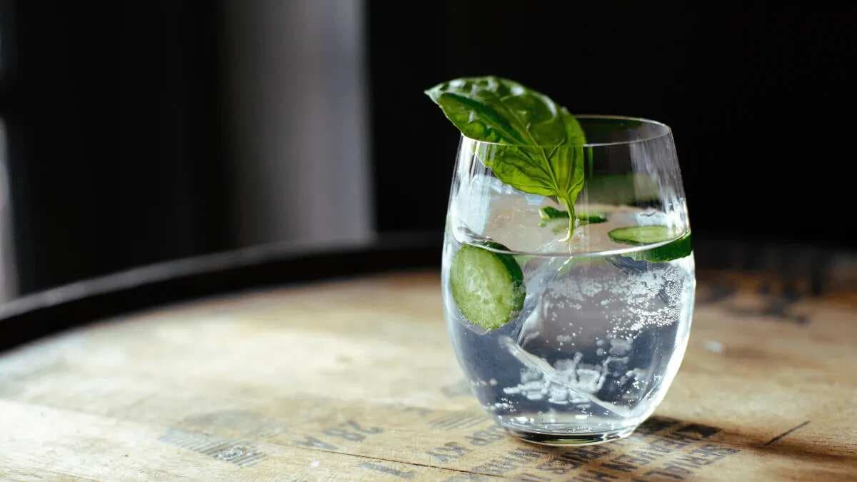 6 Gin Cocktails That Are Sure To Impress All Gin Lovers