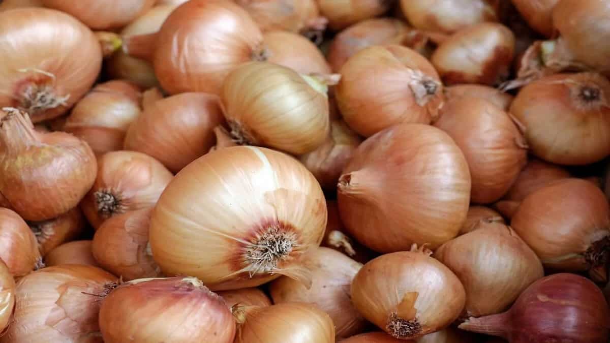 Bought Too Many Onions? 7 Dishes To Use Them Up Efficiently