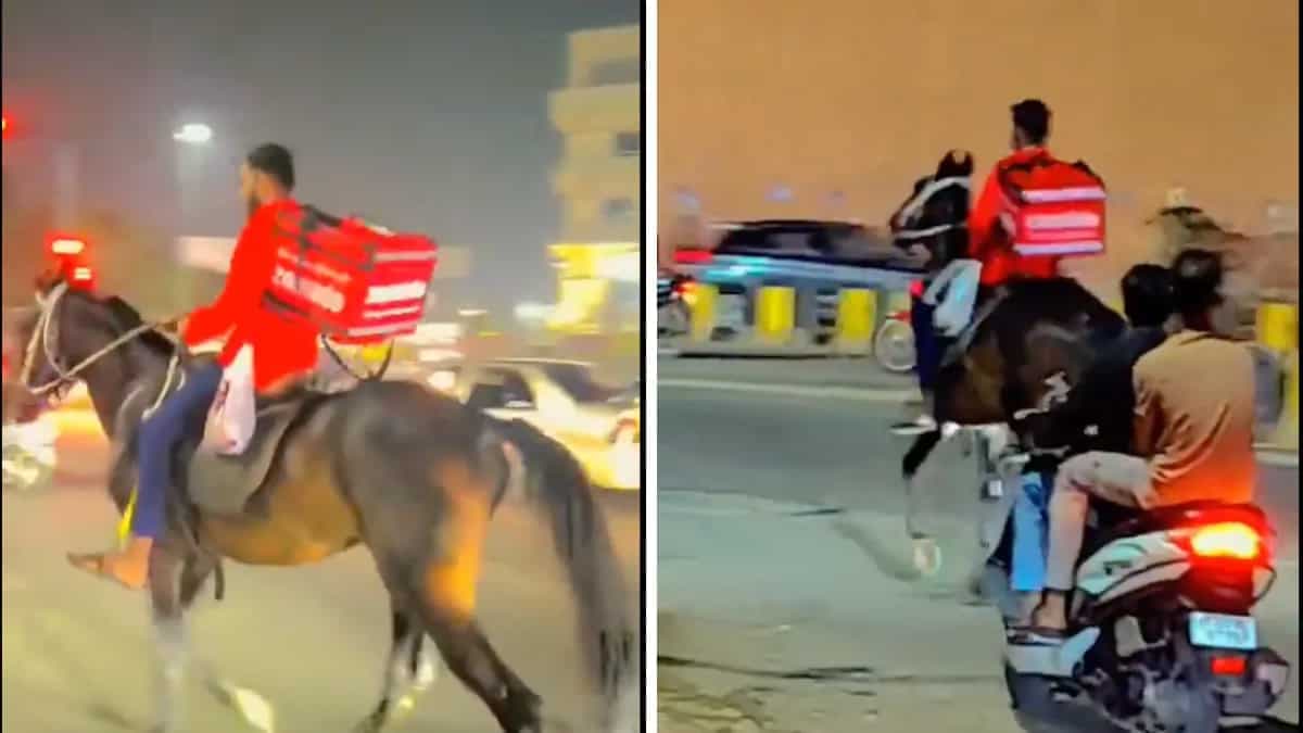 Food Delivery On Horseback As Hyderabad Faces Fuel Shortage