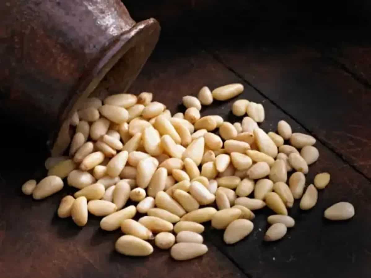 Discovering Pine Nuts And Their 5 Remarkable Health Benefits