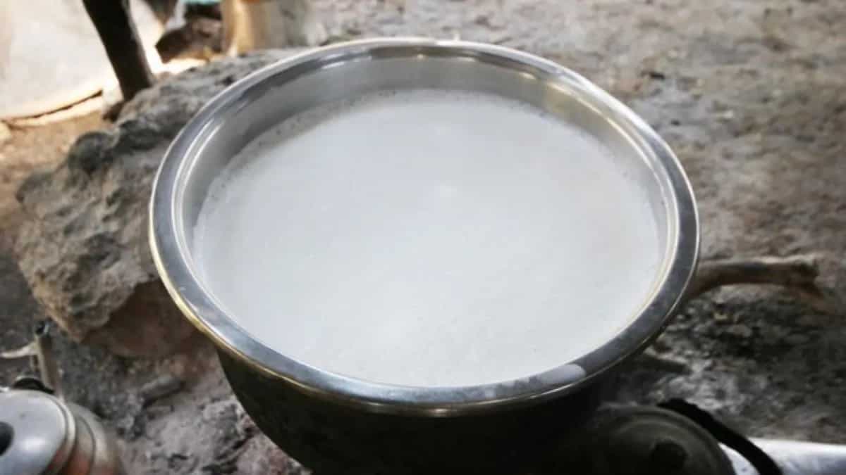 Boiling Milk? Keep These 8 Do’s And Don’ts In Mind