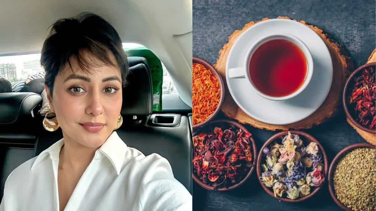 Hina Khan Shares Glimpses Of Her Breakfast In Car