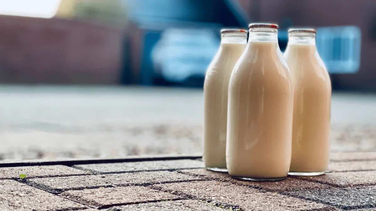 World Milk Day 2023: 10 Major Dairy Companies In India