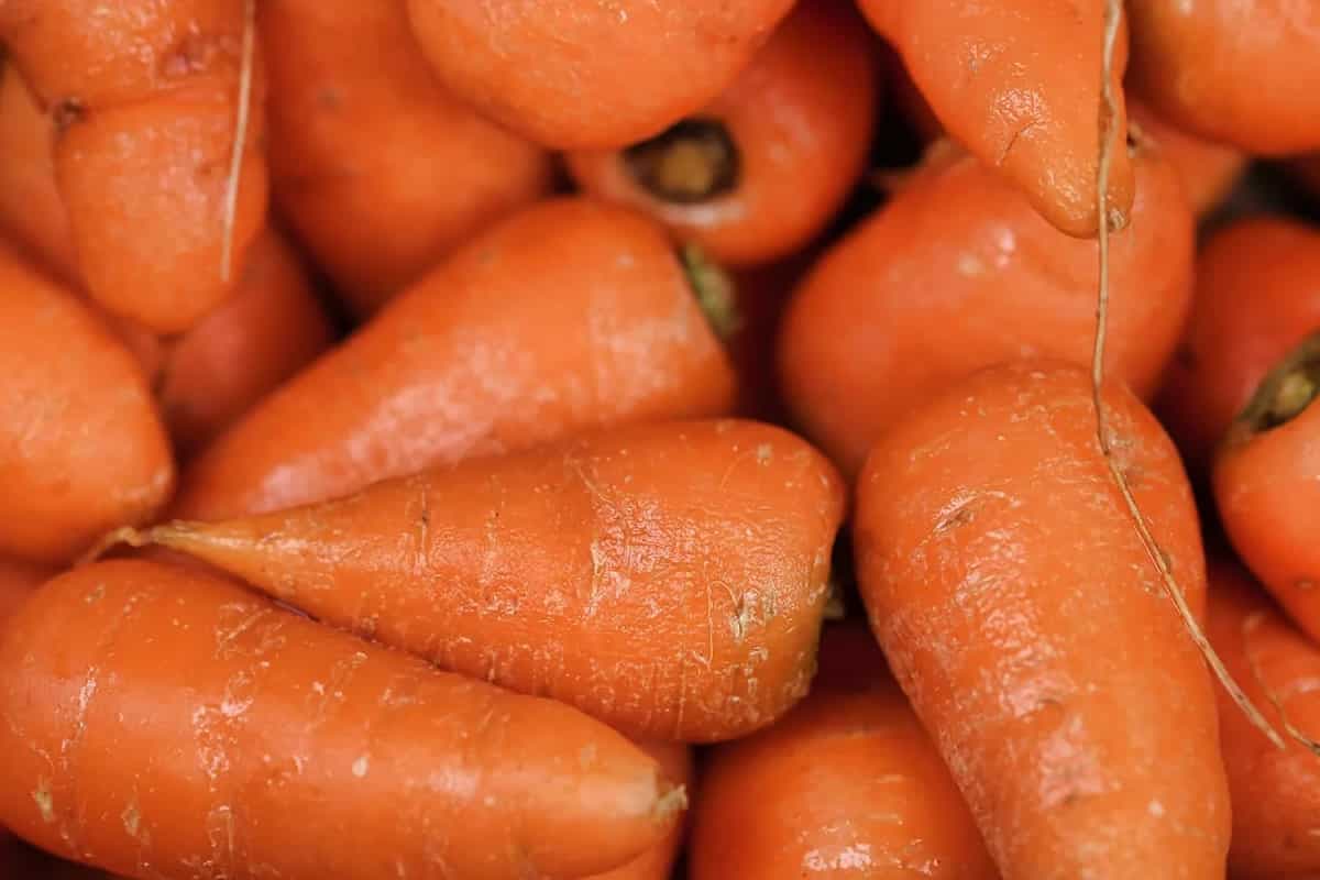 Carrot Crunch For Good Health: 6 Tips To Store The Root Vegetable For Longer Shelf Life