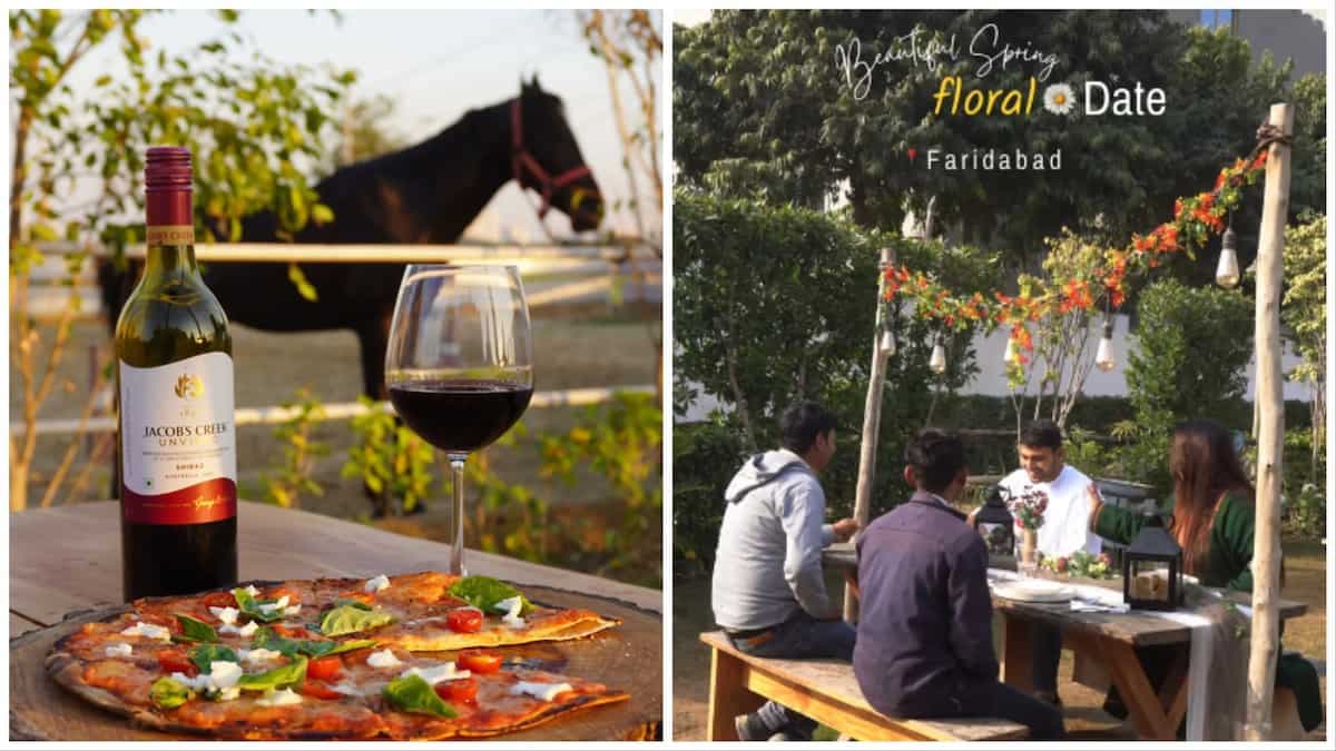 Have You Heard About This Horse Riding Cafe In Delhi?