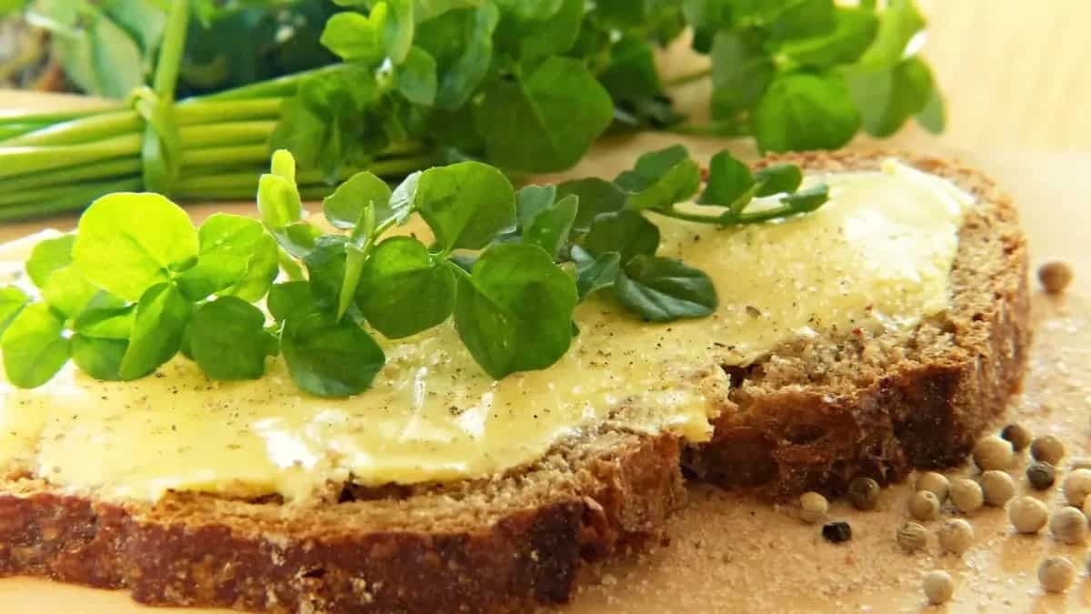 How To Grow Watercress? Tips For Indoor And Outdoor Harvest 