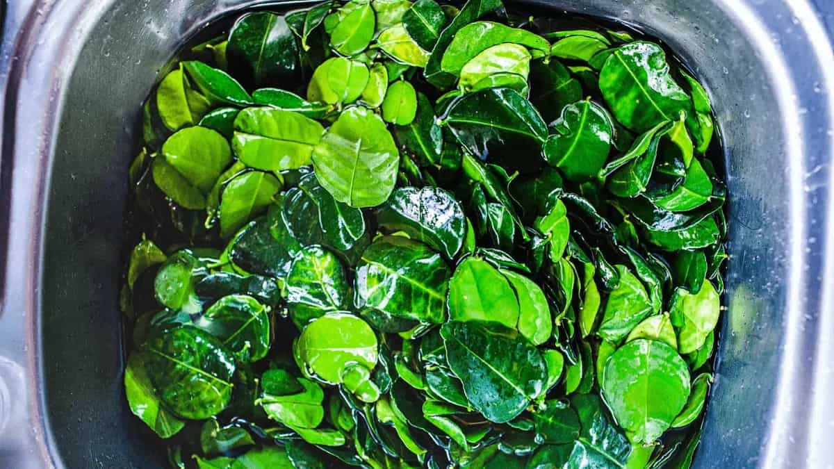 Kaffir Lime Leaves: 5 Creative Culinary Ways To Use The Herb