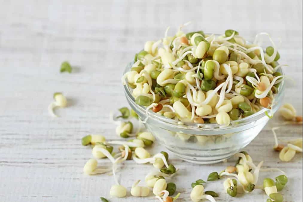 5 Sprout Types You Must Have In The Diet  
