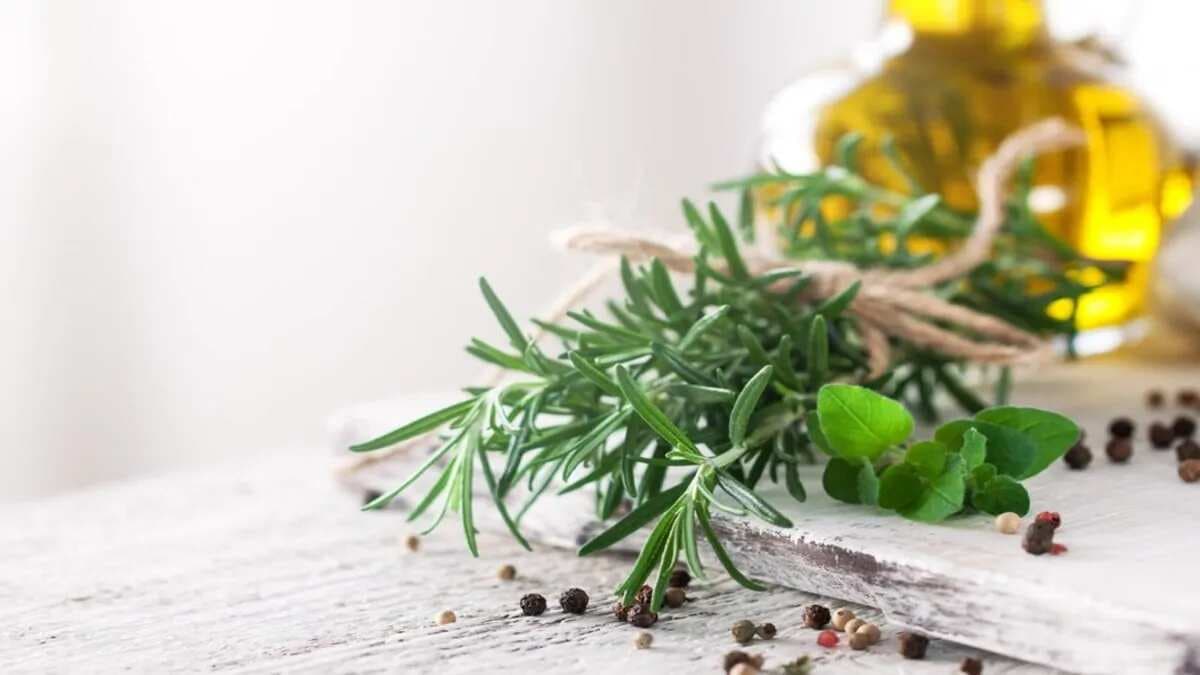7 Health Benefits Of Rosemary You Must Explore