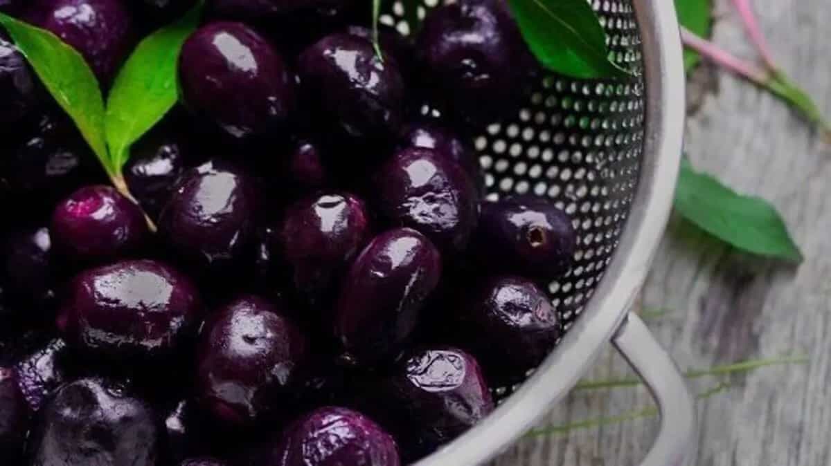 Health Benefits Of Having Java Plum, The Indian Plum