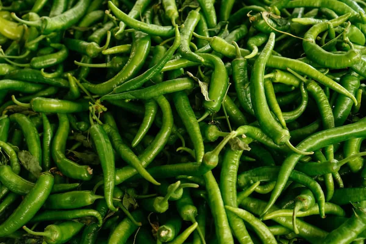 Why Is There A Price Surge For Green Chillies? 