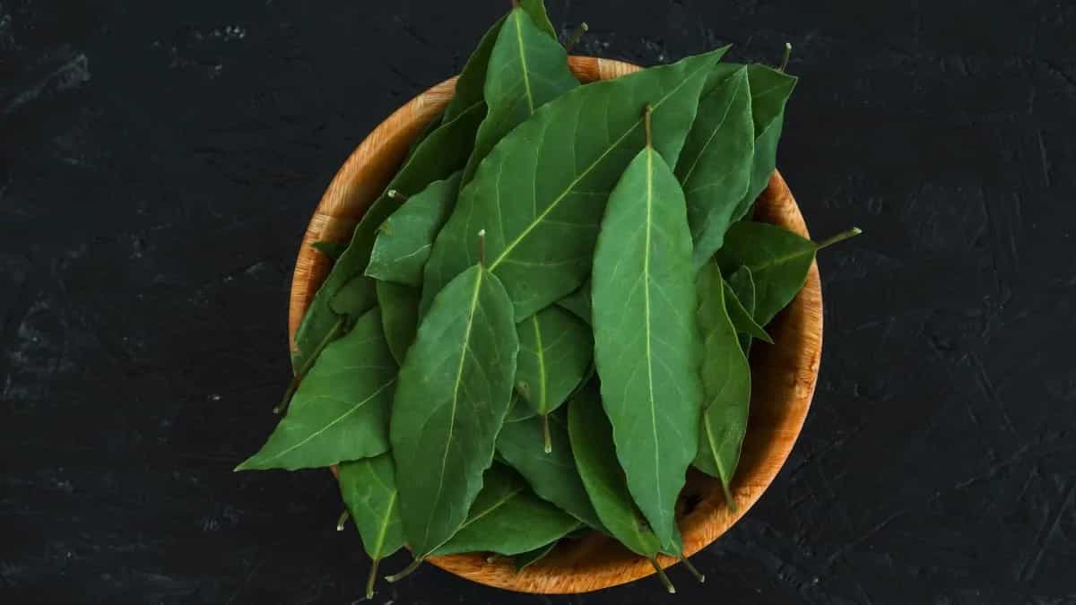 What's The Point Of Bay Leaves? 5 Healthy Facts About Tejpatta