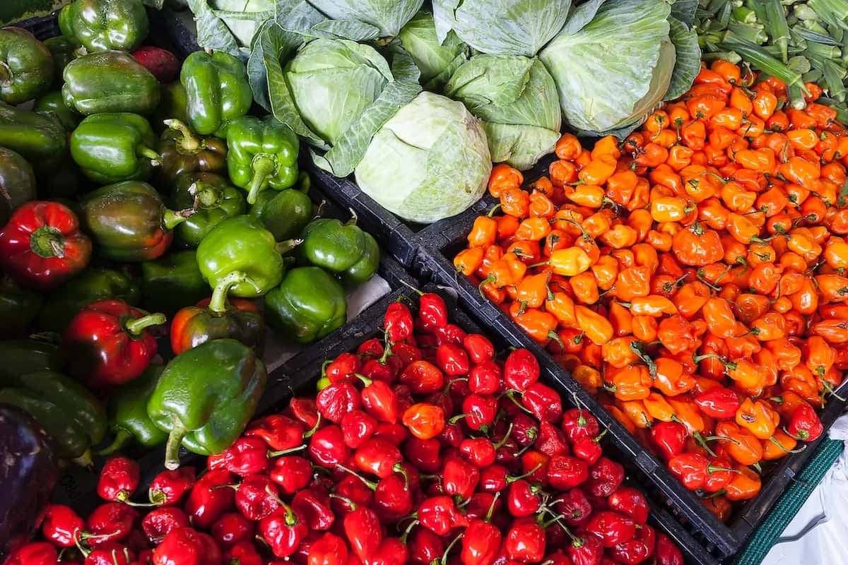 The Health Benefits Of Eating Colorful Fruits And Vegetables