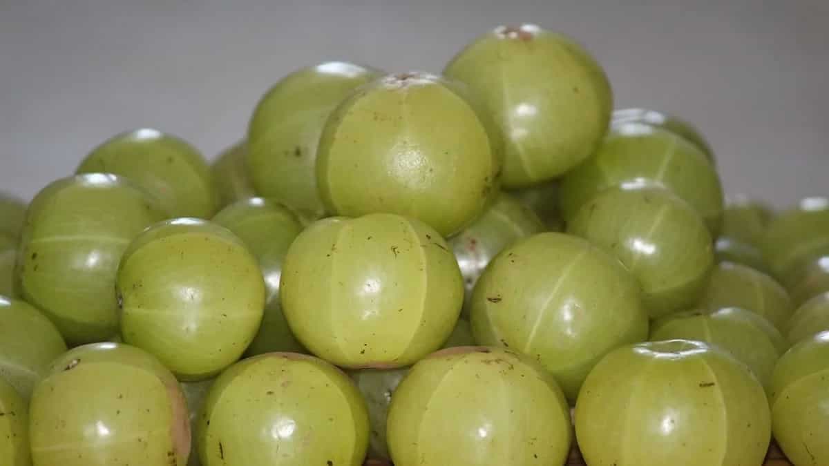 Power Of Indian Gooseberry- Health Benefit And Ways To Have Amla