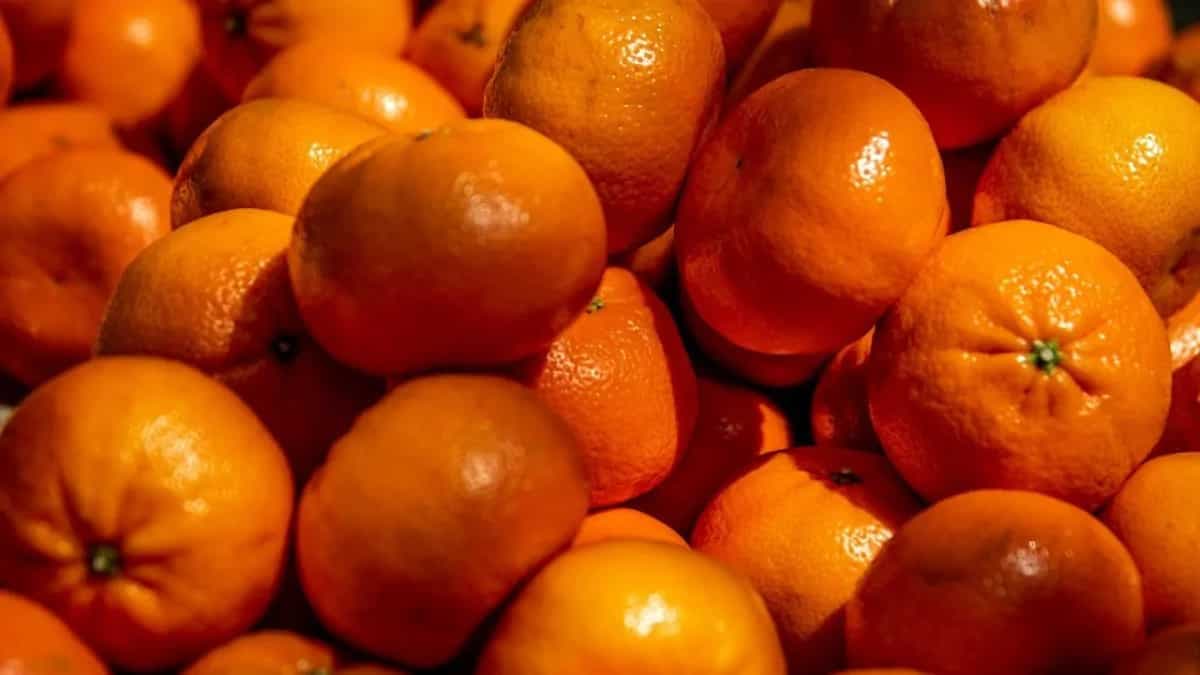 GI-Tagged Meghalaya Khasi Mandarin Oranges Focus Of Fest