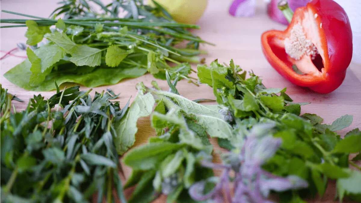 Three Interesting Ways To Save Your Wilting Herbs