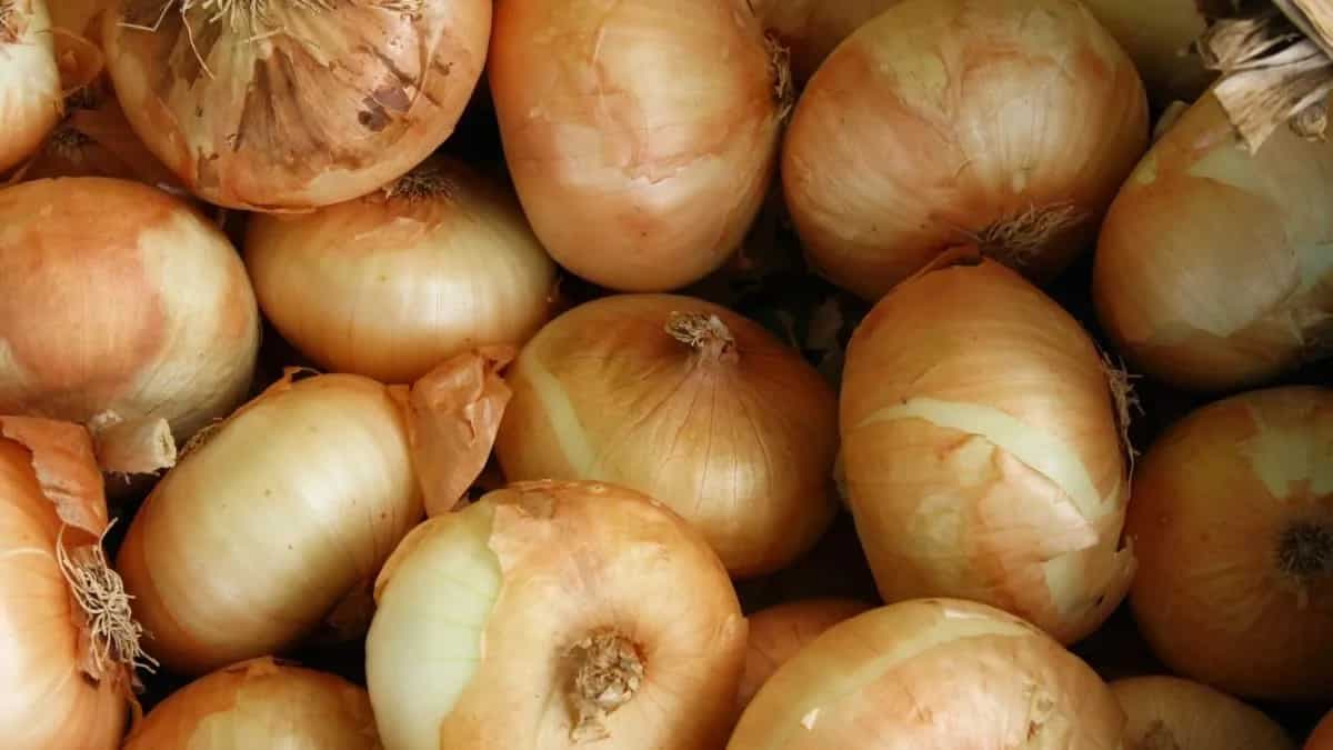 Peeling The Layers On Onions: 6 Varieties And How To Use Them