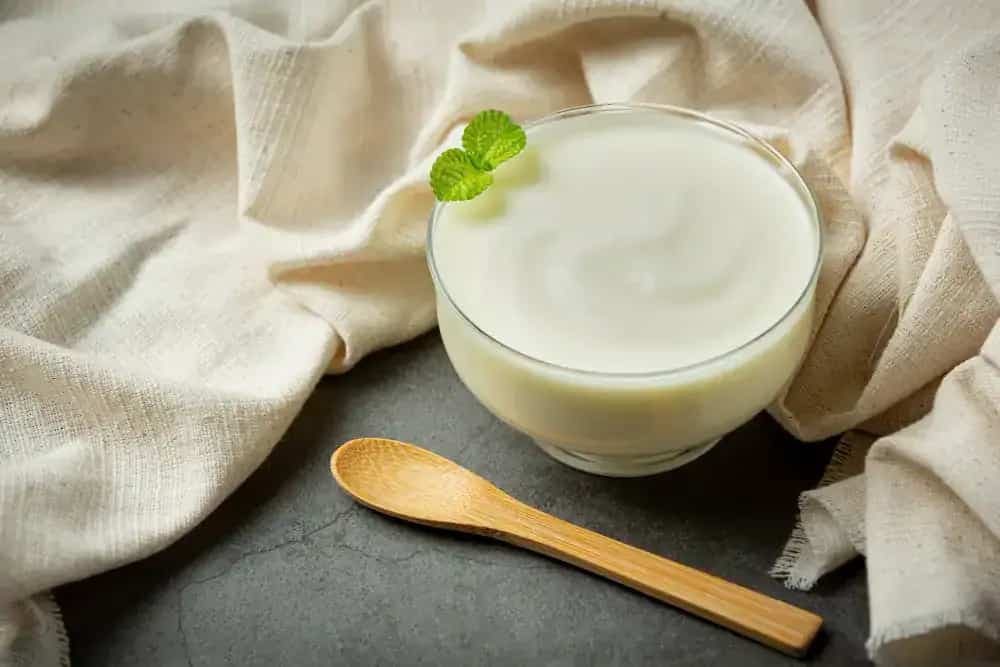 Do You Like Cooking With Curd? Keep These 6 Things In Mind