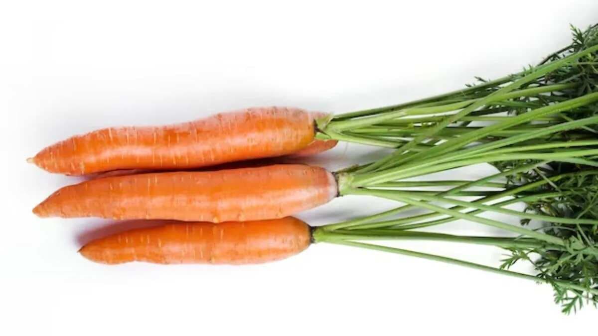 Why Should You Include Carrots In Your Daily Diet?