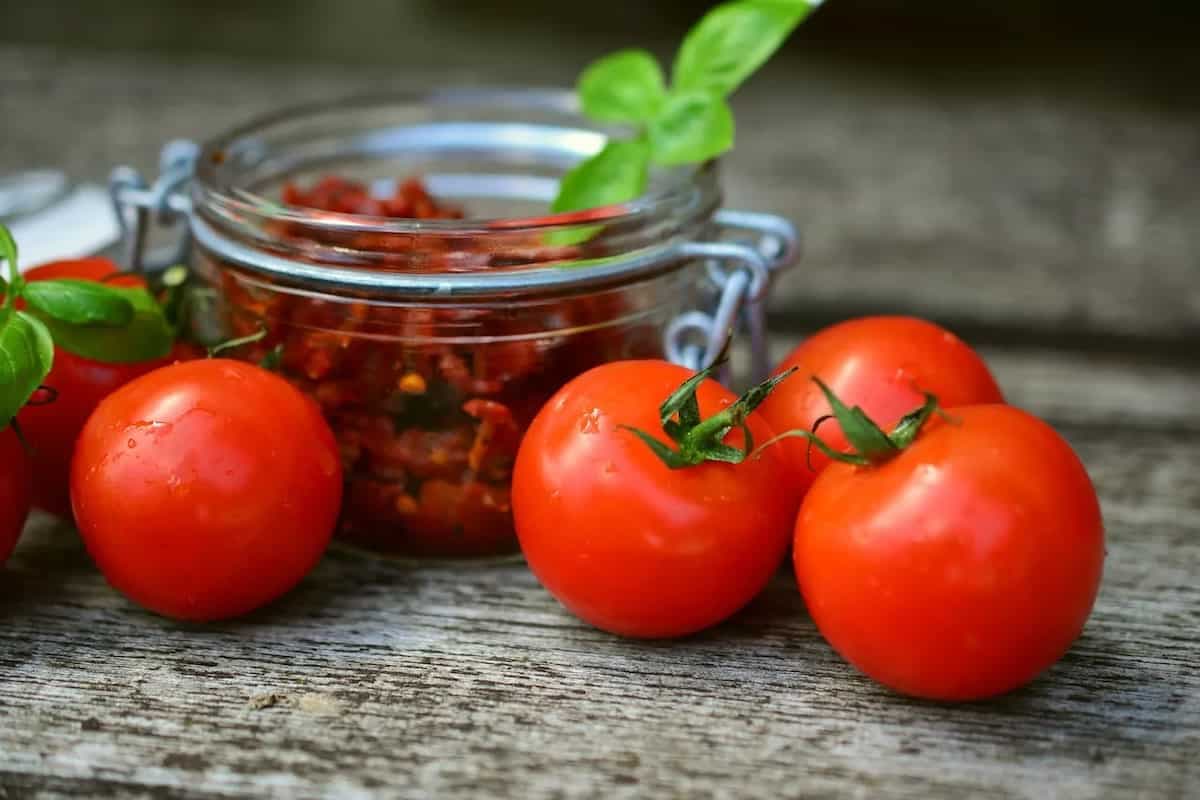 La Tomatina: How A Protest Led To Spain’s Tomato Festival