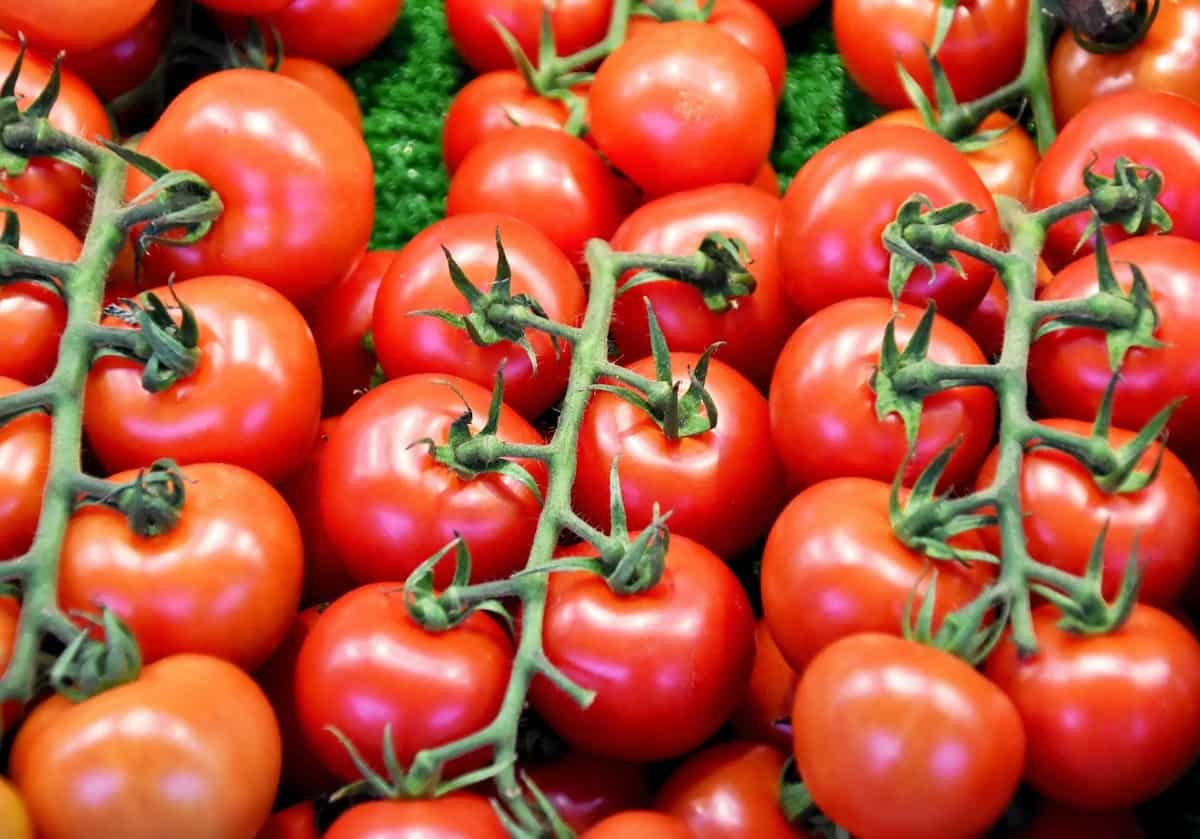 6 Homely Ingredients To Replace Tomatoes