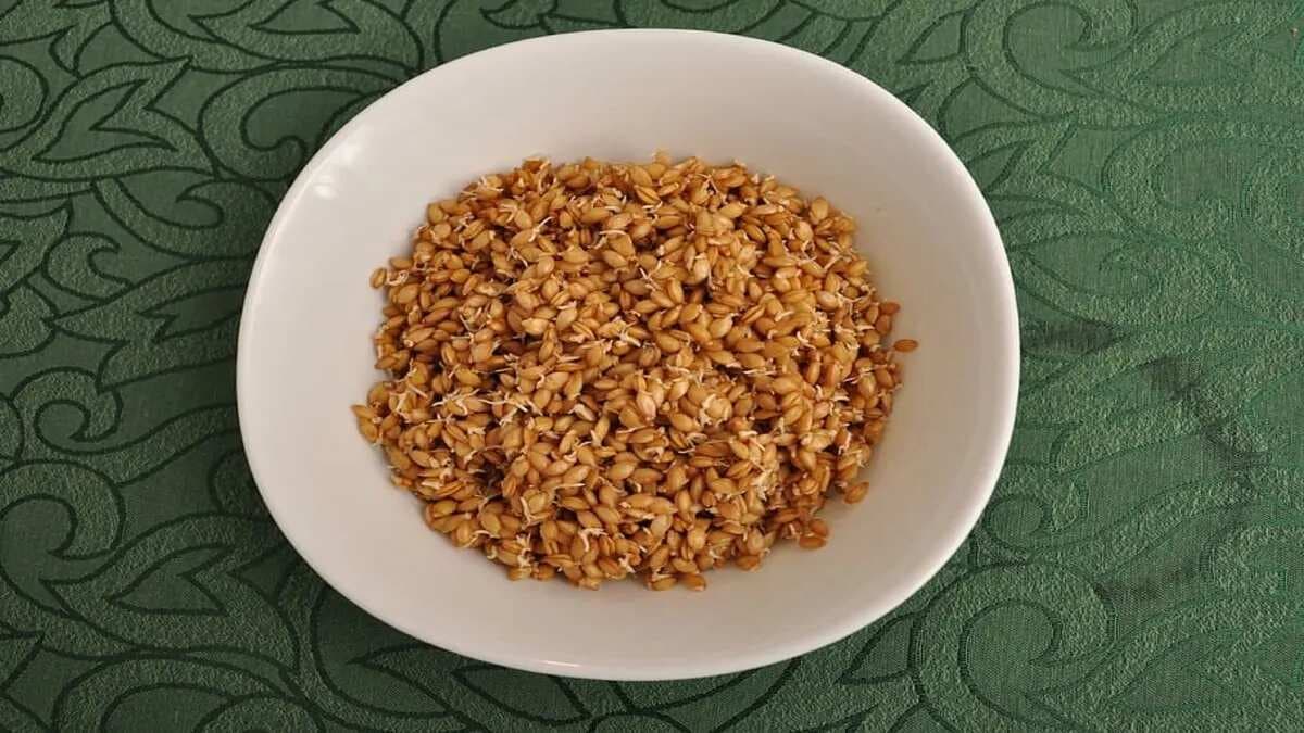 Heard Of Farro?  The Ancient Grain That Is Making A Comeback