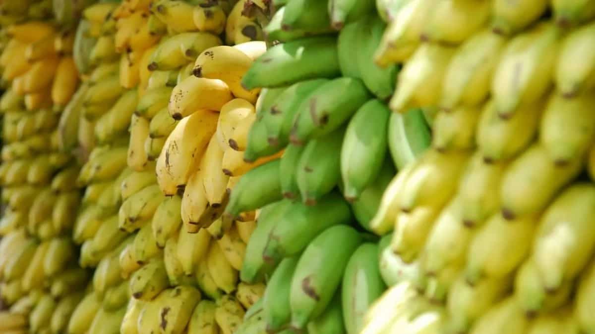 Celebrating Bananas: Try These 7 Dishes From Across India