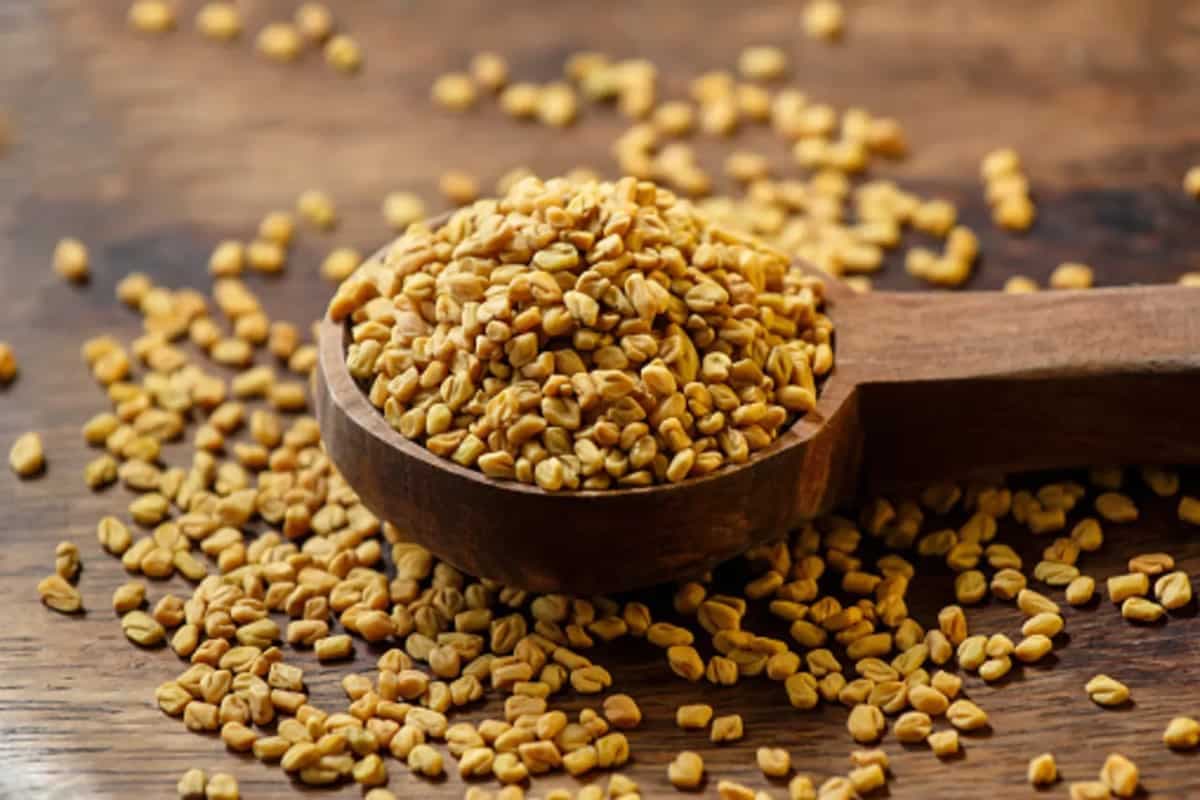 Weight-Loss: Fenugreek Can Be Beneficial To Achieve Your Goals