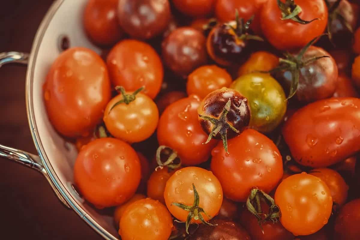 Tomato Price Hike: Indian Chefs Talk Effects, Substitutes & More
