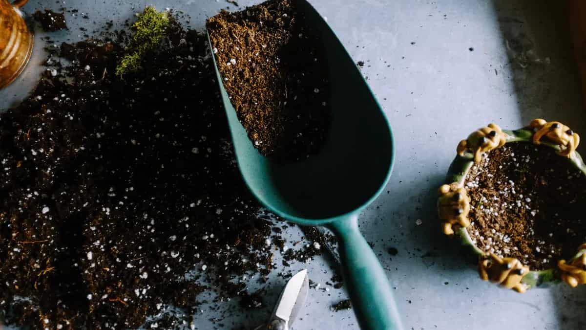 Composting Food Waste And Making Sustainable Fertilizer