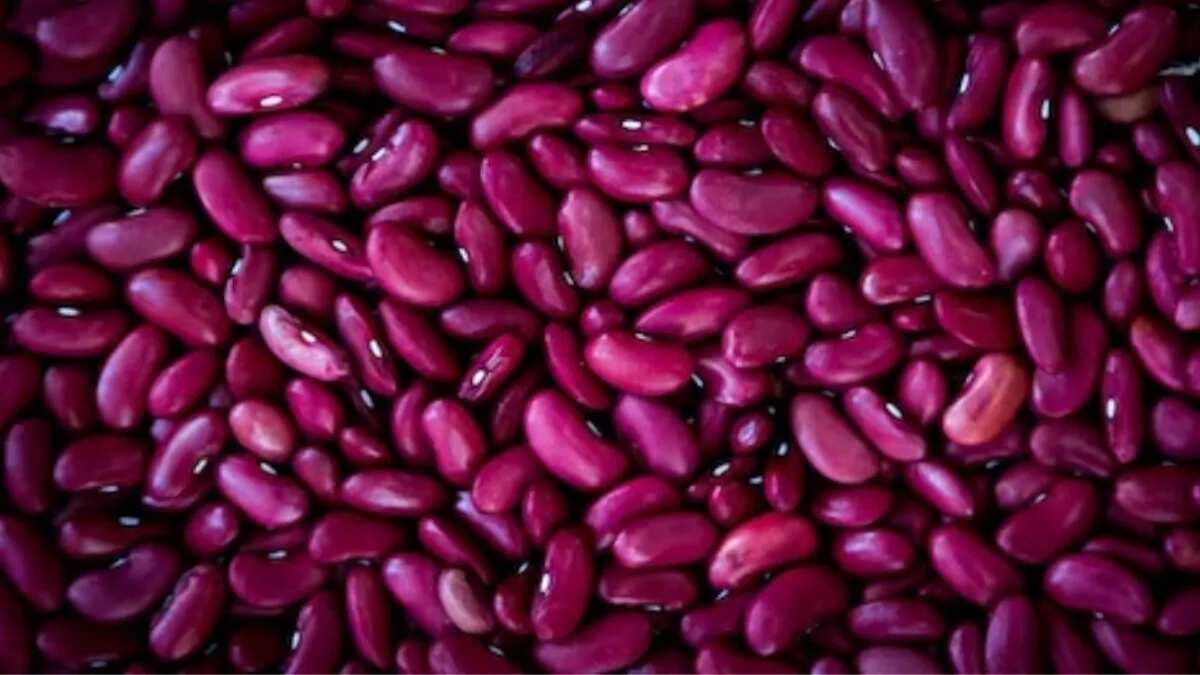 Exploring Kidney Beans In 7 And More Ways Than You Know